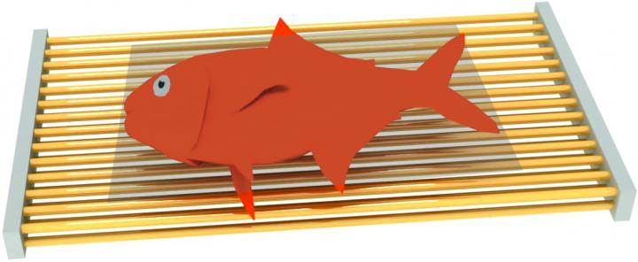 Biological Object 