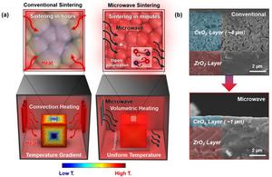 KAIST Fabricates Green Hydrogen Cells in Just 10 Minutes Like Using a Microwave​