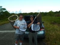 Collecting Monarchs on Guam
