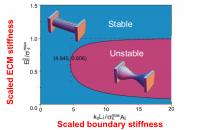 Phase Diagram of Tissue Failure