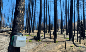 Burned Unit