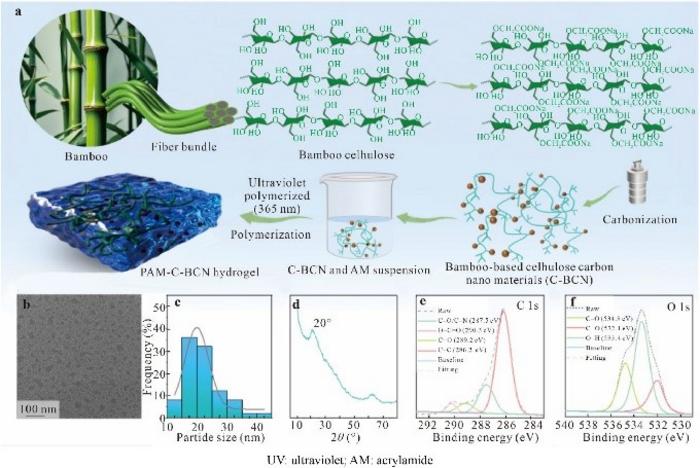 Ultra-Robust Hydrogels with Adhesive Properties Developed Using Bamboo Cellulose-Based Carbon Nanomaterials