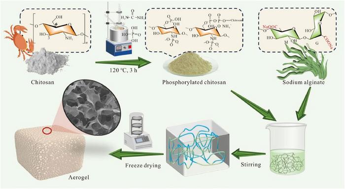Design of Bio-Based P-N Synergistic Aerogels: Integrating Phosphorylated Chitosan into Sodium Alginate for Fire-Safe Thermal Insulation