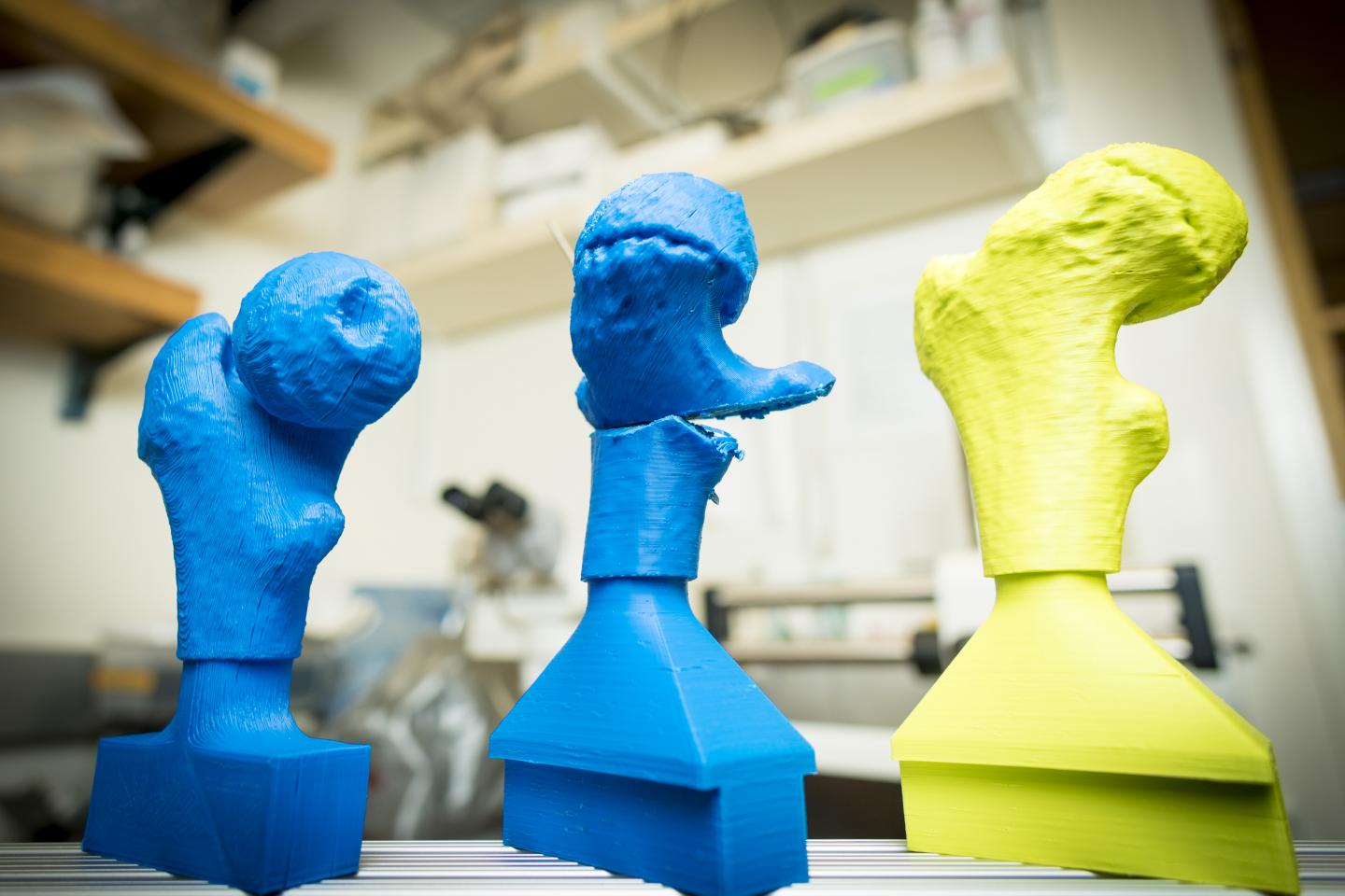 Customized 3-D Printed Models
