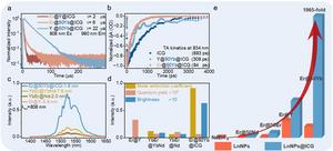 Figure 2 | Investigation of luminescence kinetics