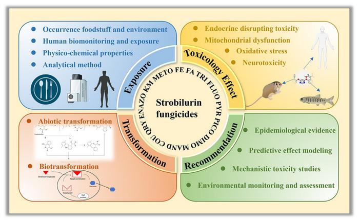 A brief review of strobilurin fungicides: environmental exposure, transformation, and toxicity