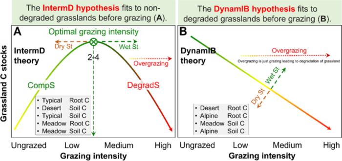 Carbon in Chinese grasslands: meta-analysis and theory of grazing effects