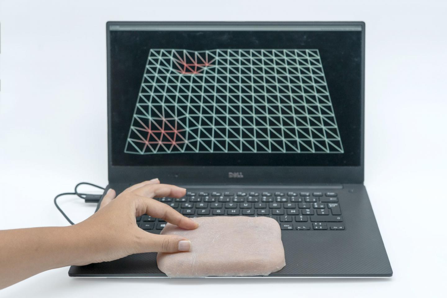 Skin-On Interface
