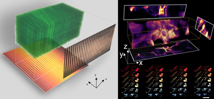 3D imaging at high speed