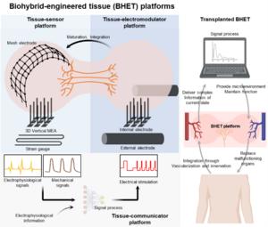 Classification of BHET platforms into three types based on their functional objectives