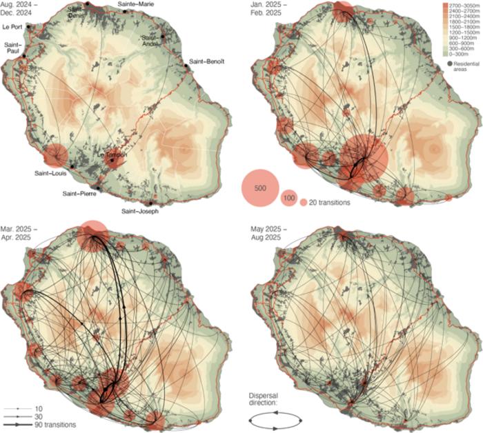 Illustration 1: reconstruction of the dispersal dynamic of the massive 2024-2025 chikungunya virus epidemic on Réunion island.