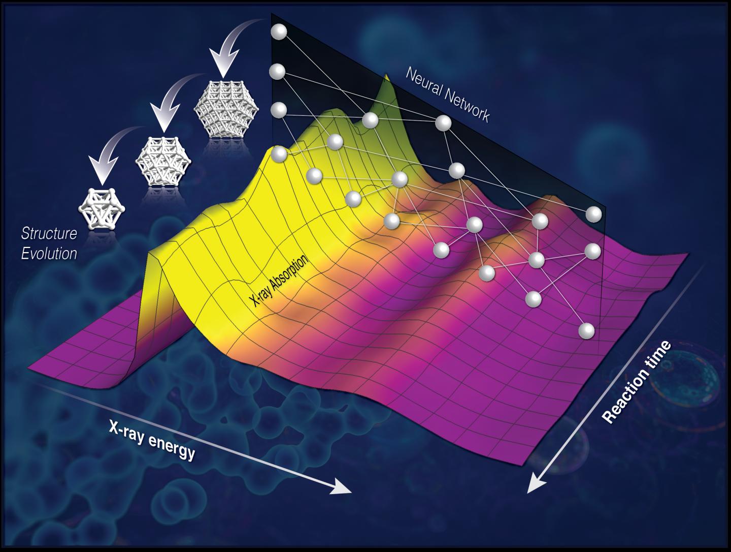 Schematic Graphic