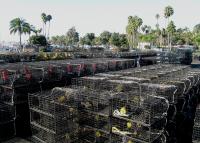 Lobster Cages