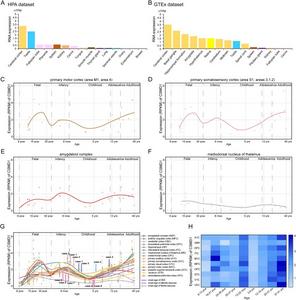 The spatio-temporal expression of CSMD1 gene.
