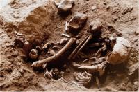 Earliest Evidence of Using Flower Beds for Burial Found in Raqefet Cave in Mt. Carmel (2 of 3)