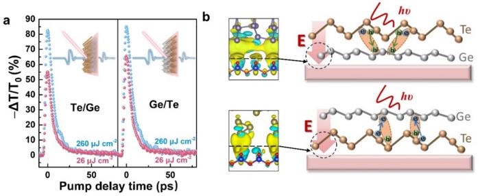 Figure 2 | Substrate-induced carrier dynamics in Te/Ge and Ge/Te heterojunctions.