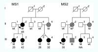 MS Family Trees