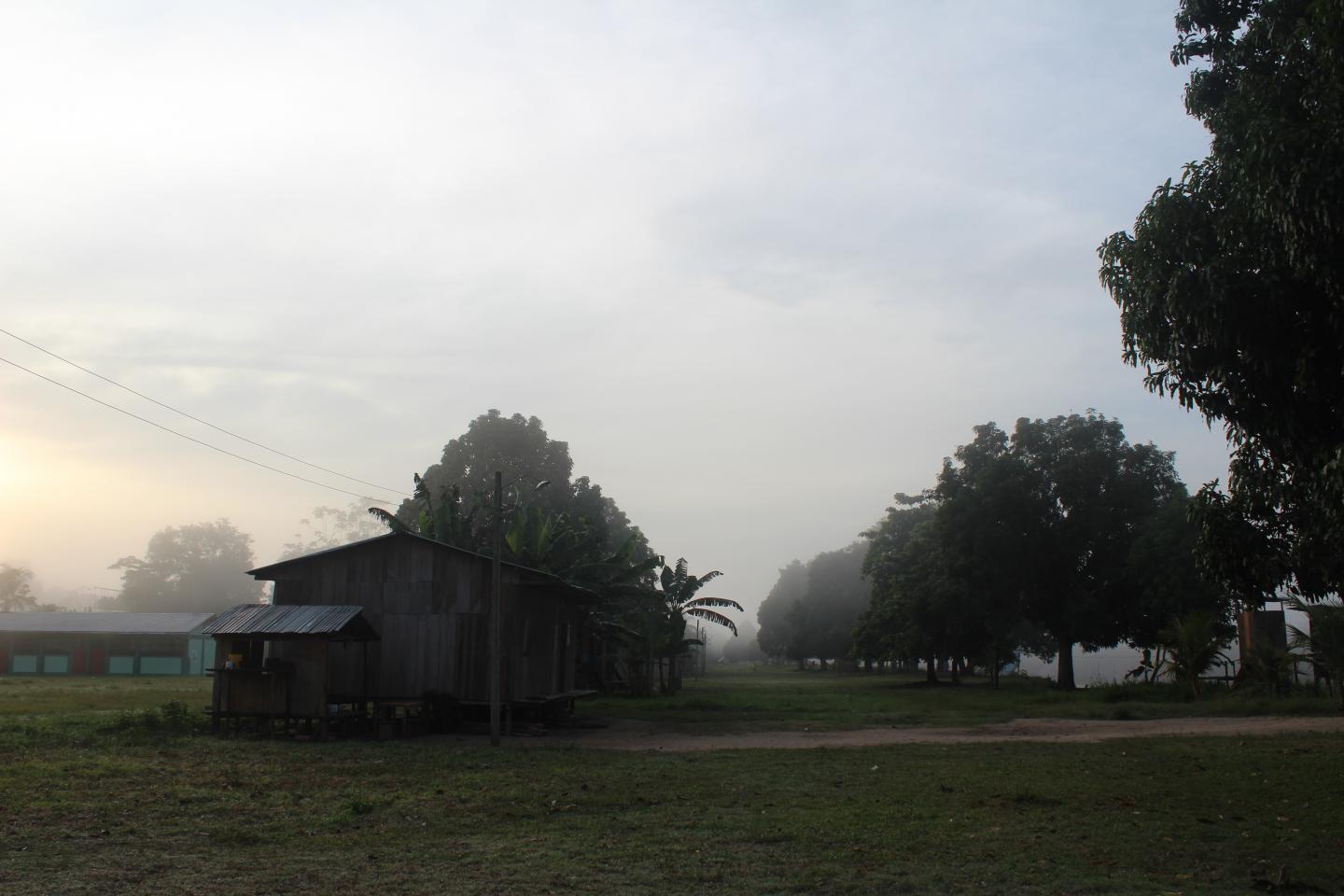 Peruvian House