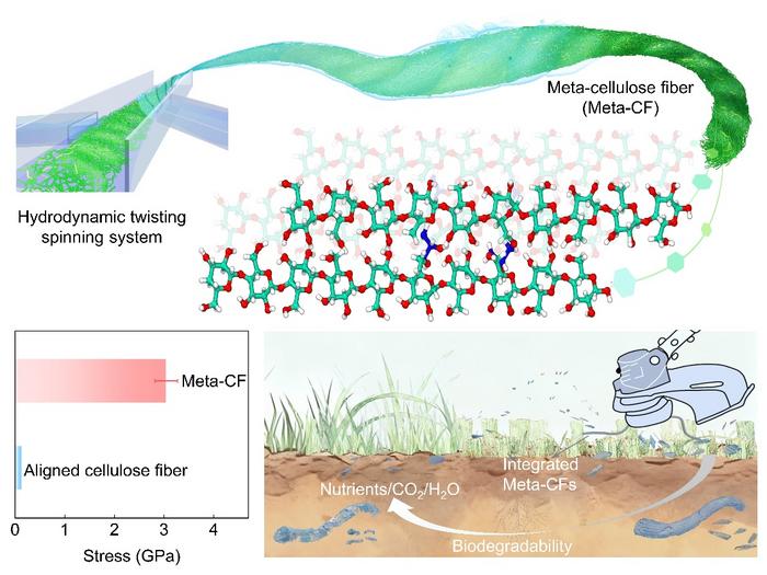 Strong as high-performance synthetics, tough like spider silk—and made ...