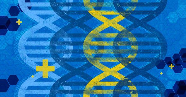 Programming DNA
