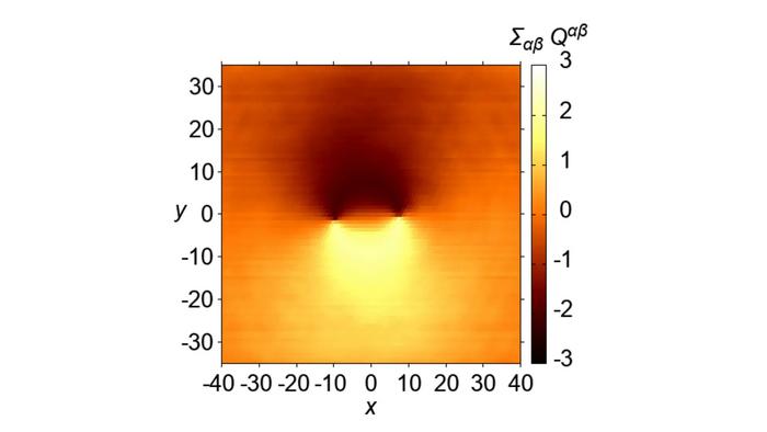 Numerical simulation of gravitational waves within matter in a spin-nematic state