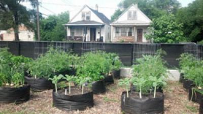 Urban Gardening Site