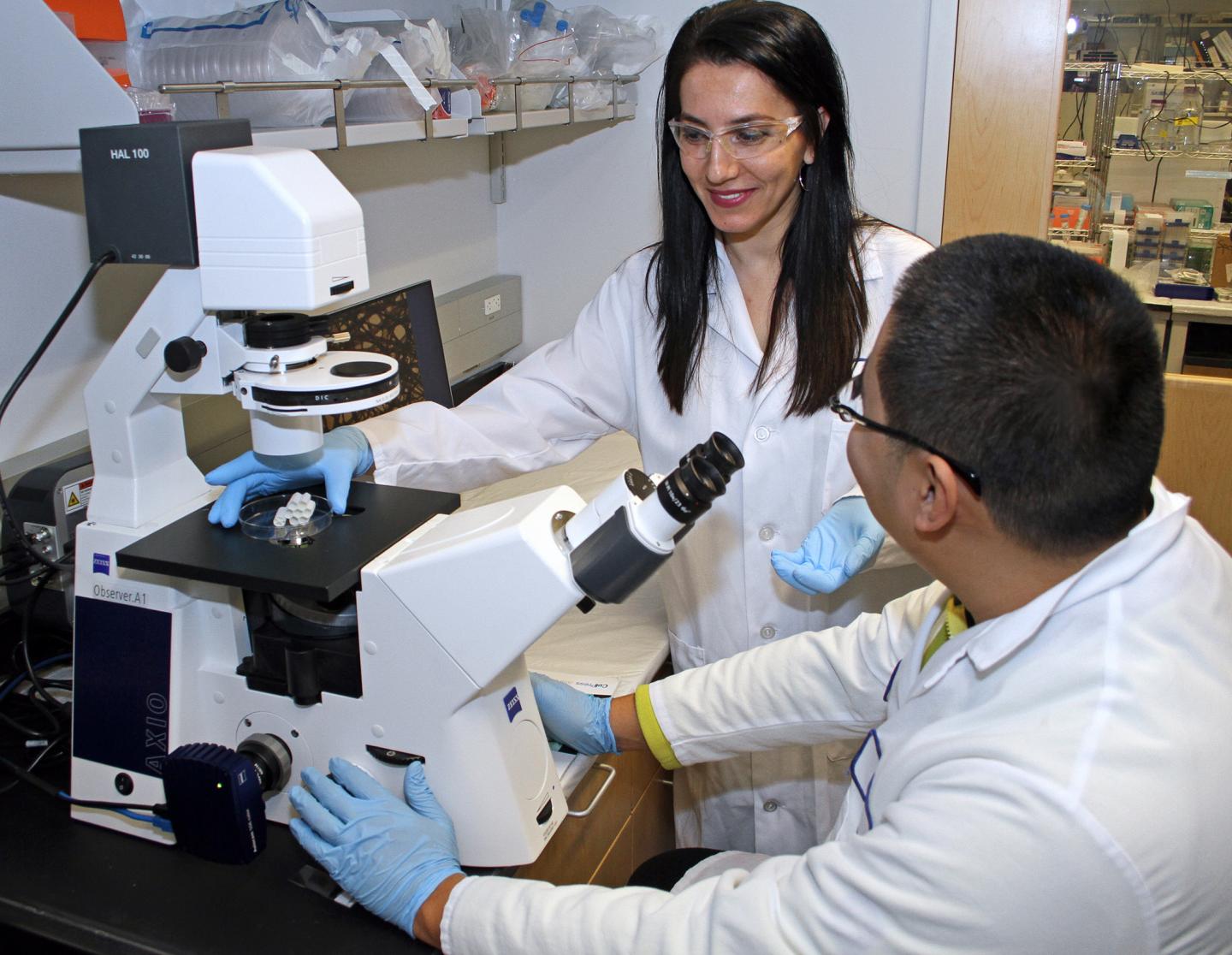 Researchers