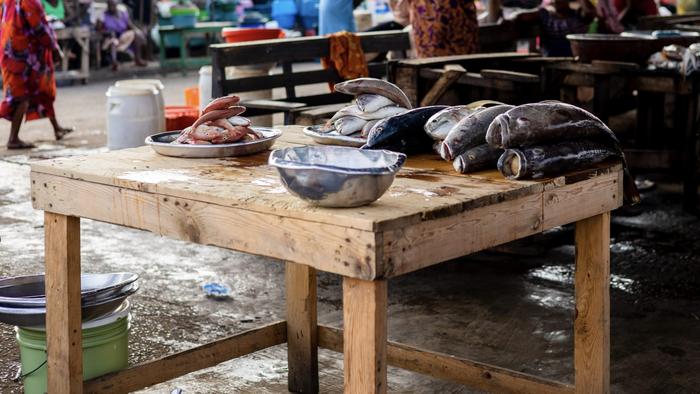 Fish Trade
