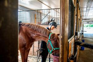 UConn Equine Science