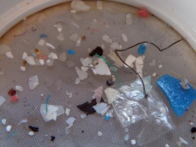 In Atlantic, Appearance of Floating Plastic Has Plateaued (3 of 10)