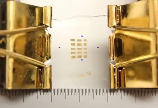 Nam Photodetector 