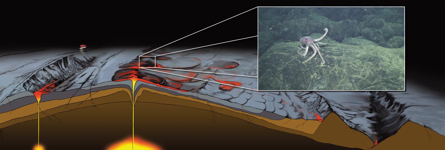 Massive Eruption of Magma May Have Contributed to Mass Extinction at End of Cretaceous (4 of 7)