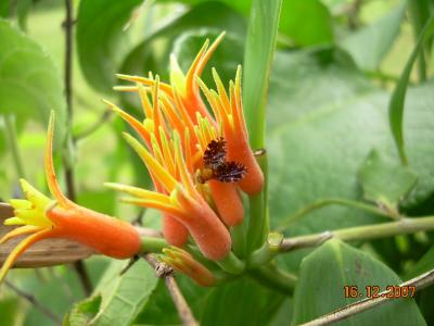Despite Few Food Options, Abundant Array of Species (9 of 12)