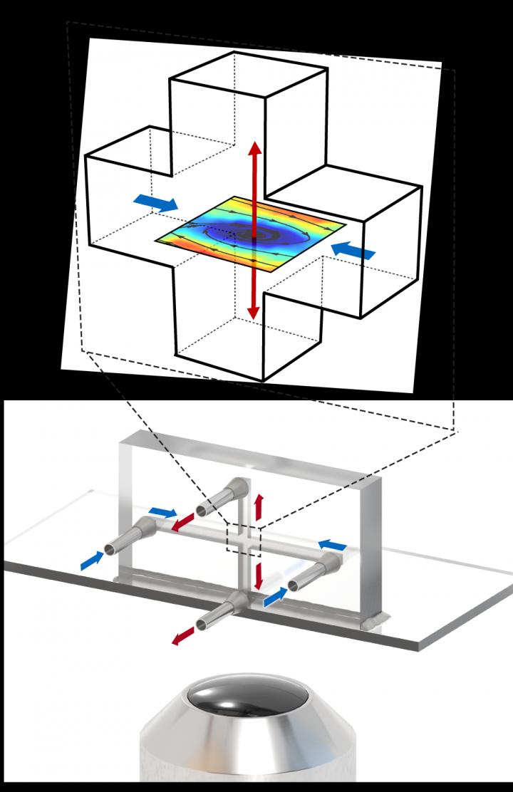Cross Section