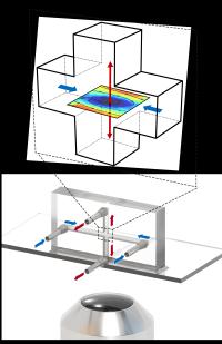 Cross Section