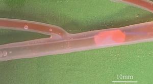 Video2: Medical milli-tools.