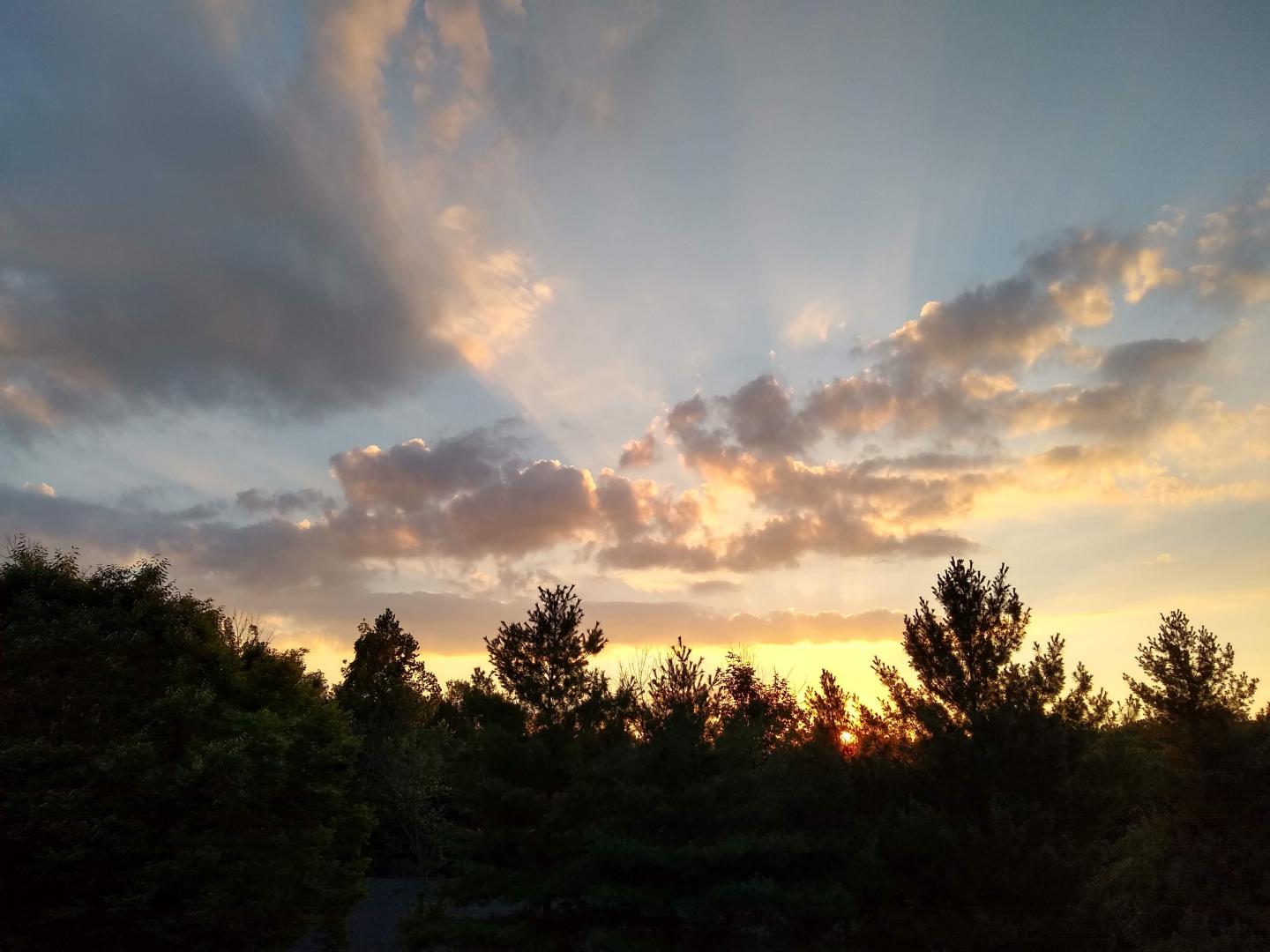 Evening Sky