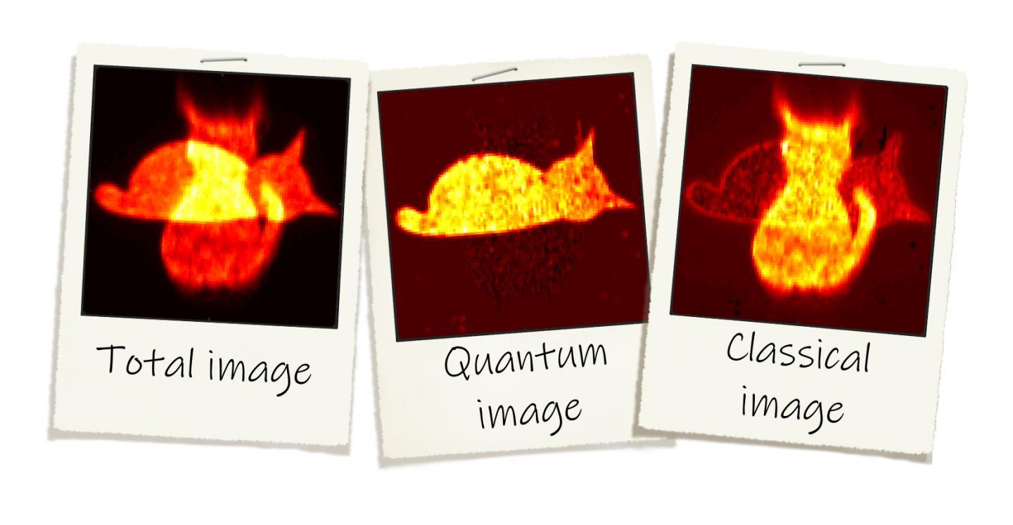 Quantum Image Distillation