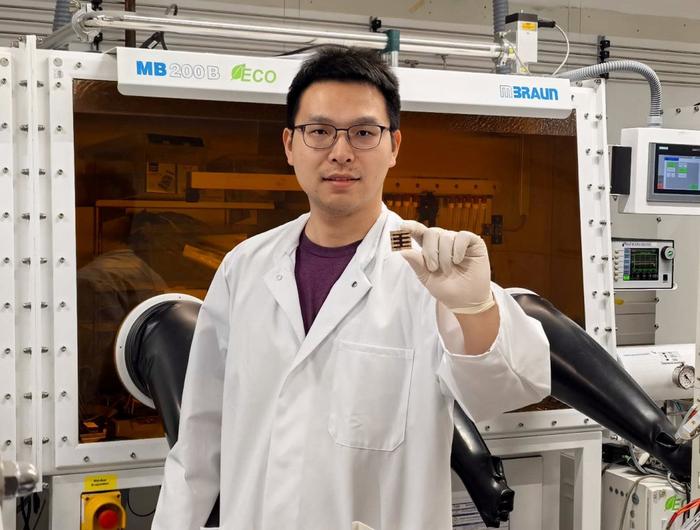 Making perovskite solar cells weather-resistant