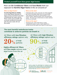 Infographic