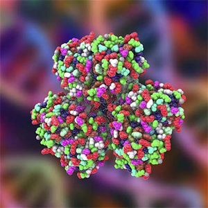 3D Huntingtin protein