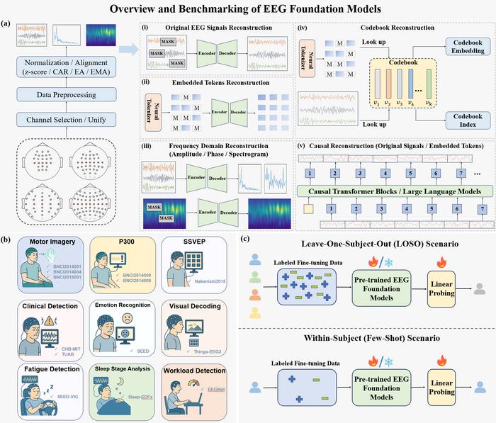 Overview and Benchmarking of EEG Foundation Models