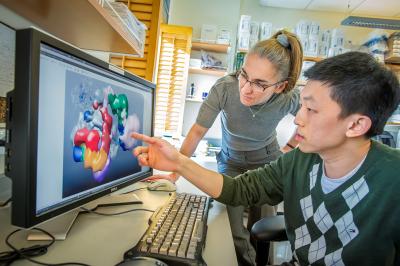 Eva Nogales, Yuan He, Berkeley Lab