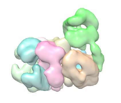 An Unexpected Architecture