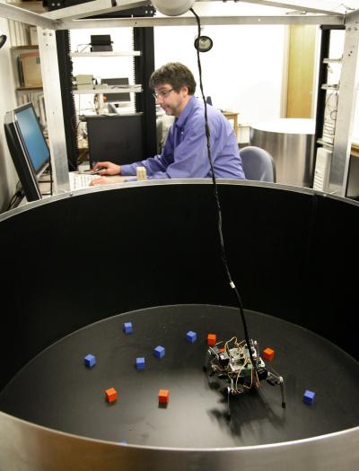 Sporns Robot