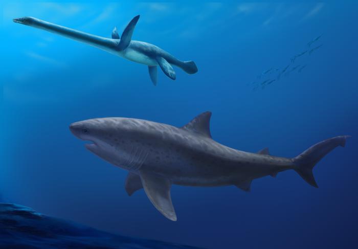 Oldest modern shark mega-predator
