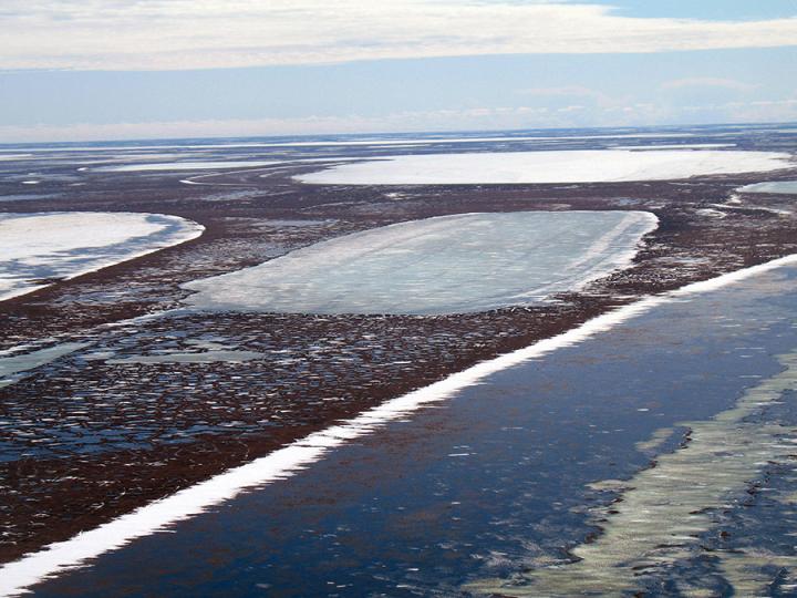 Shallow Arctic Lakes