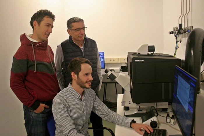 Researchers find recruitment mechanism for cancer-associated fibroblasts in the most common lung cancer