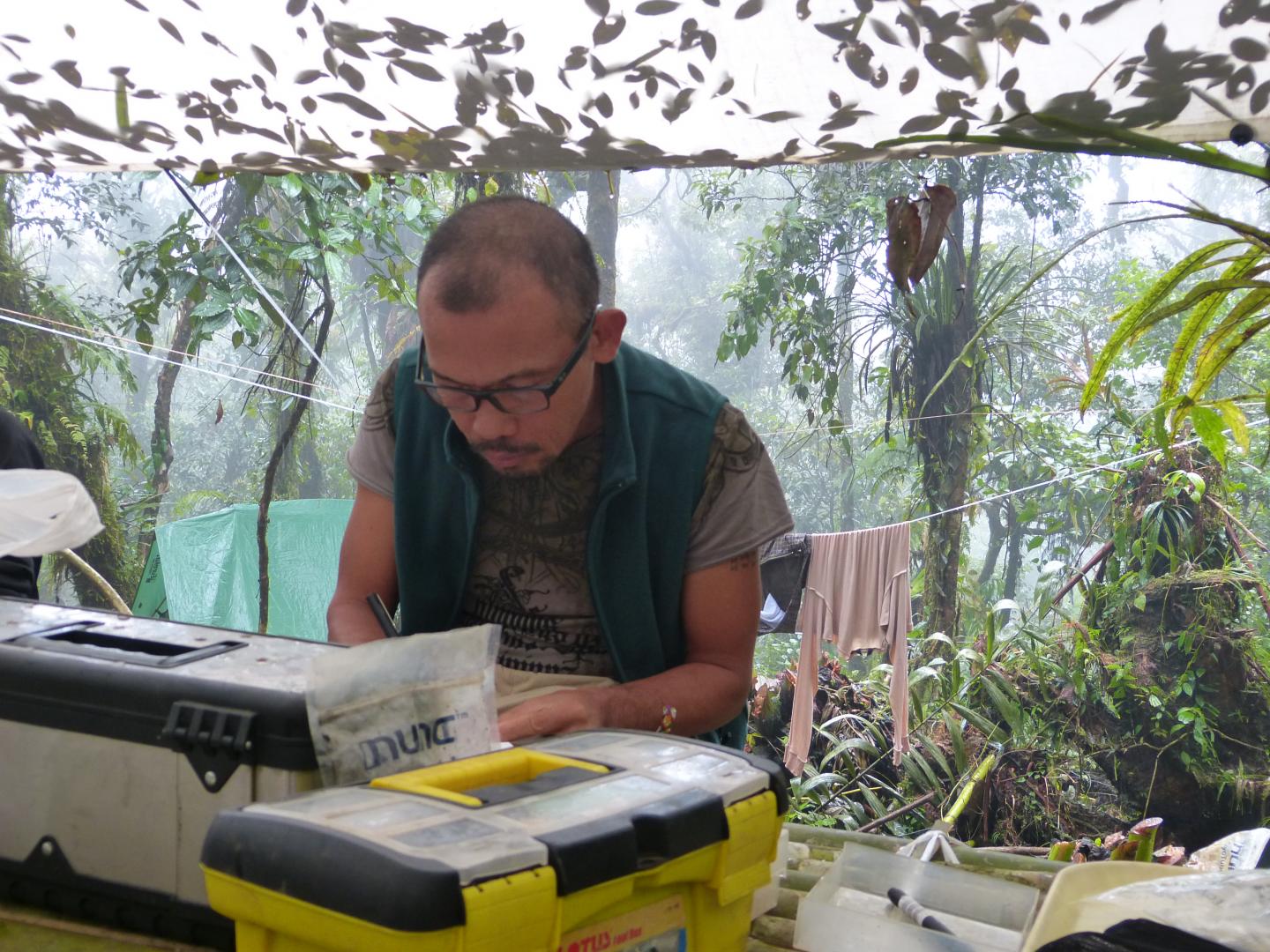 Danny Balete fieldwork