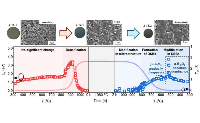 Characterization of the sintering process based on the apparent activation energy of DC conductance